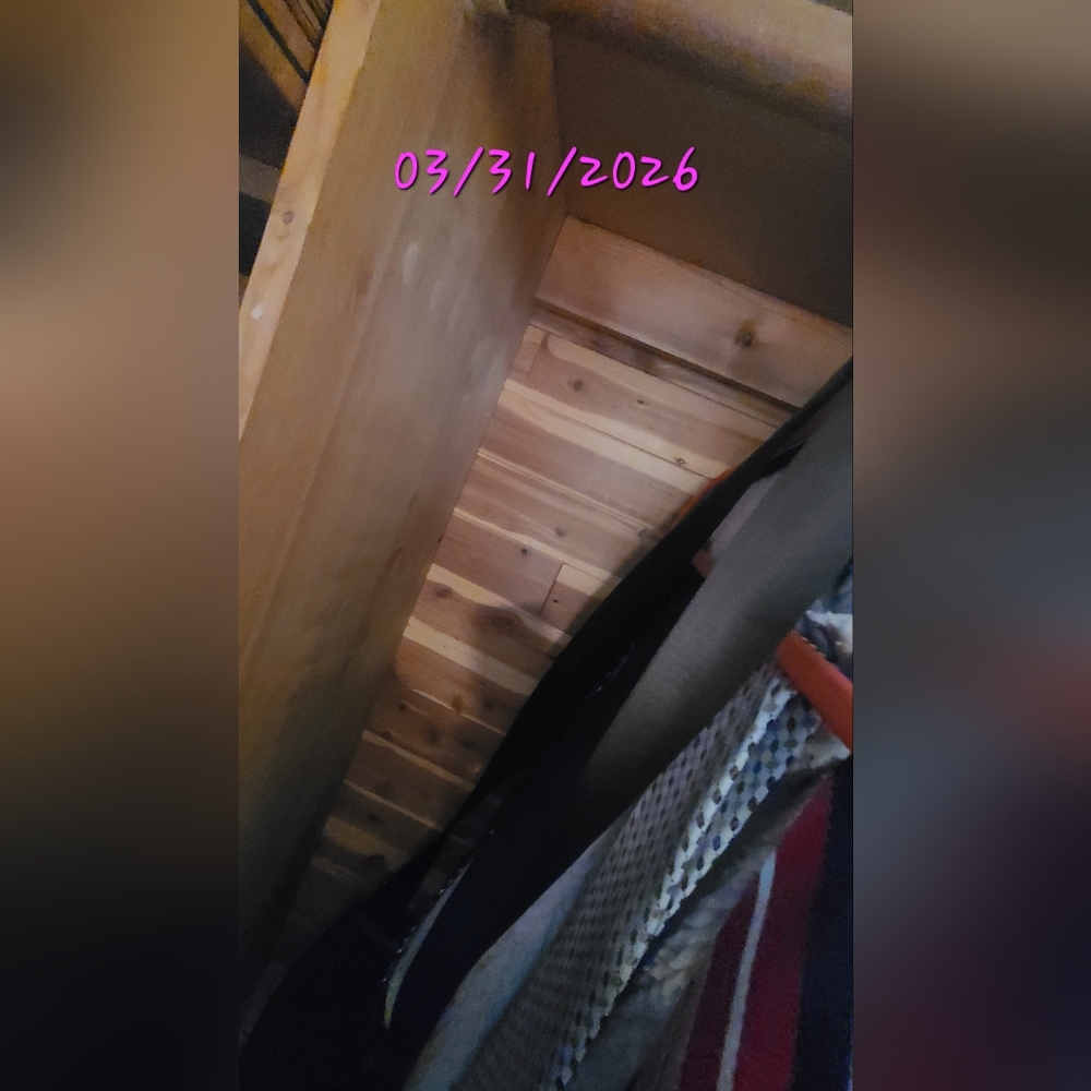 BURBERRY Blazer! 2026 CLEARANCE!! - Picture 14 of 14